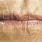 Dermal fillers